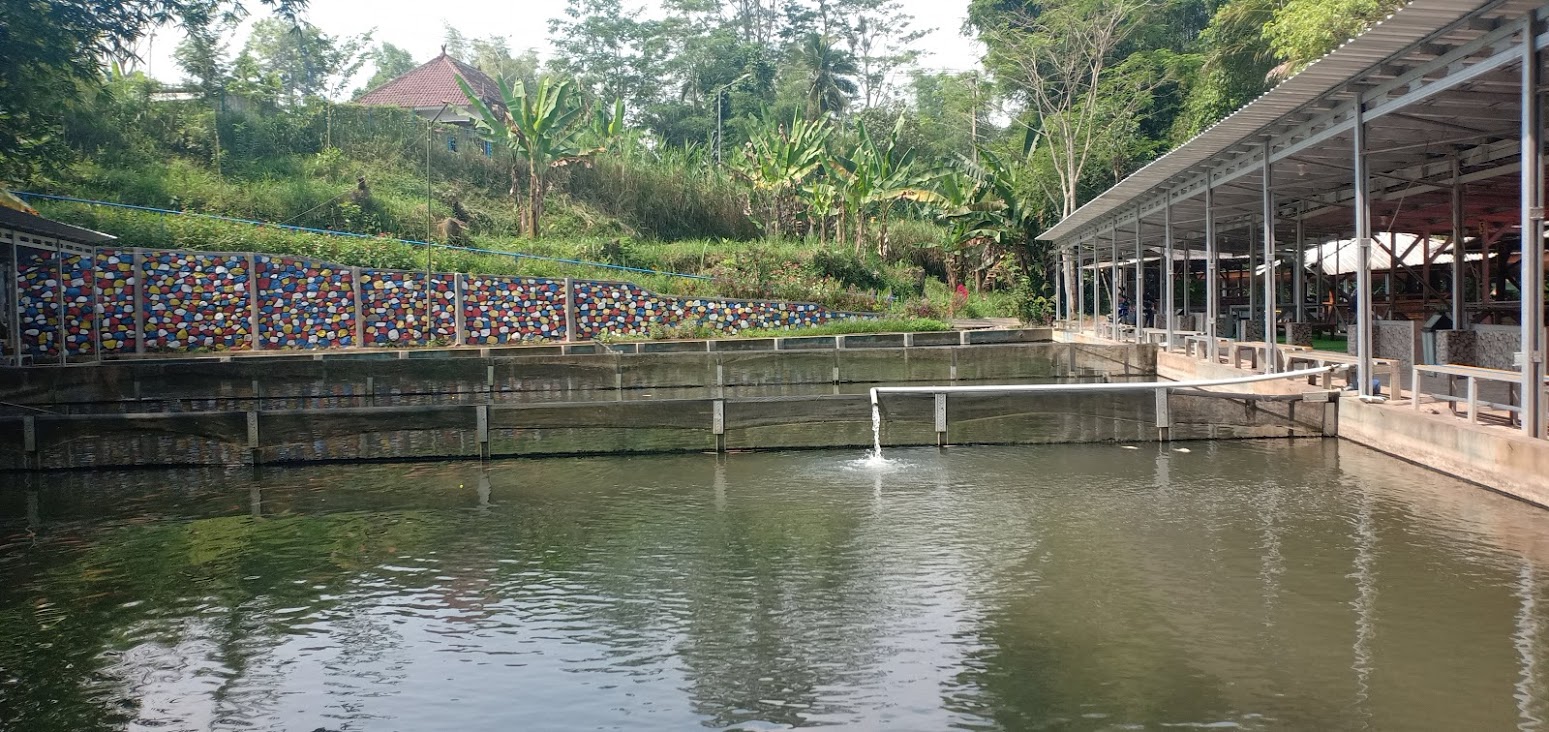 5 Tips Pemula Mancing Di Kolam Pemancingan Kiloan